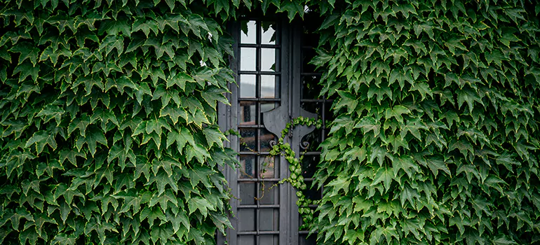 Garden Gate Repair in San Jose, CA