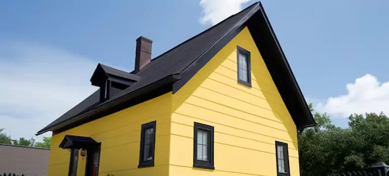 [Custom Black Windows in San Jose, CA