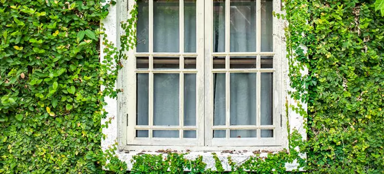 Garden Window Repair Near Me in San Jose, CA