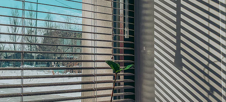 Commercial Window Blinds in San Jose, CA