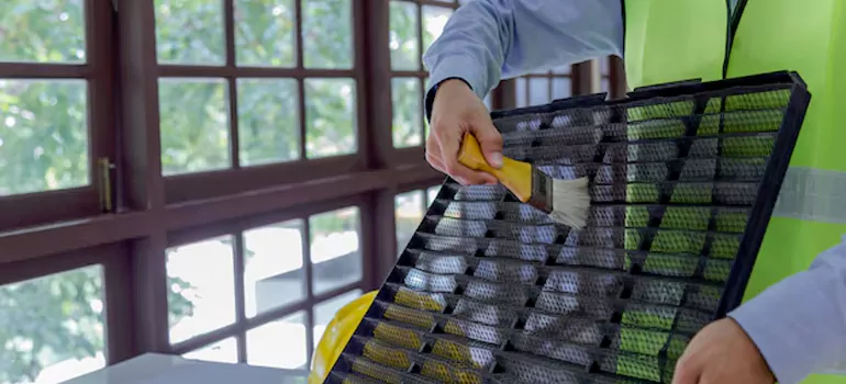 Traditional Window Grille Installation Options in San Jose, CA