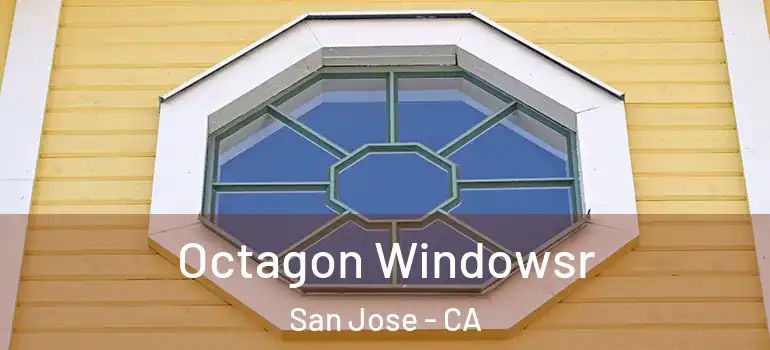 Octagon Windowsr San Jose - CA